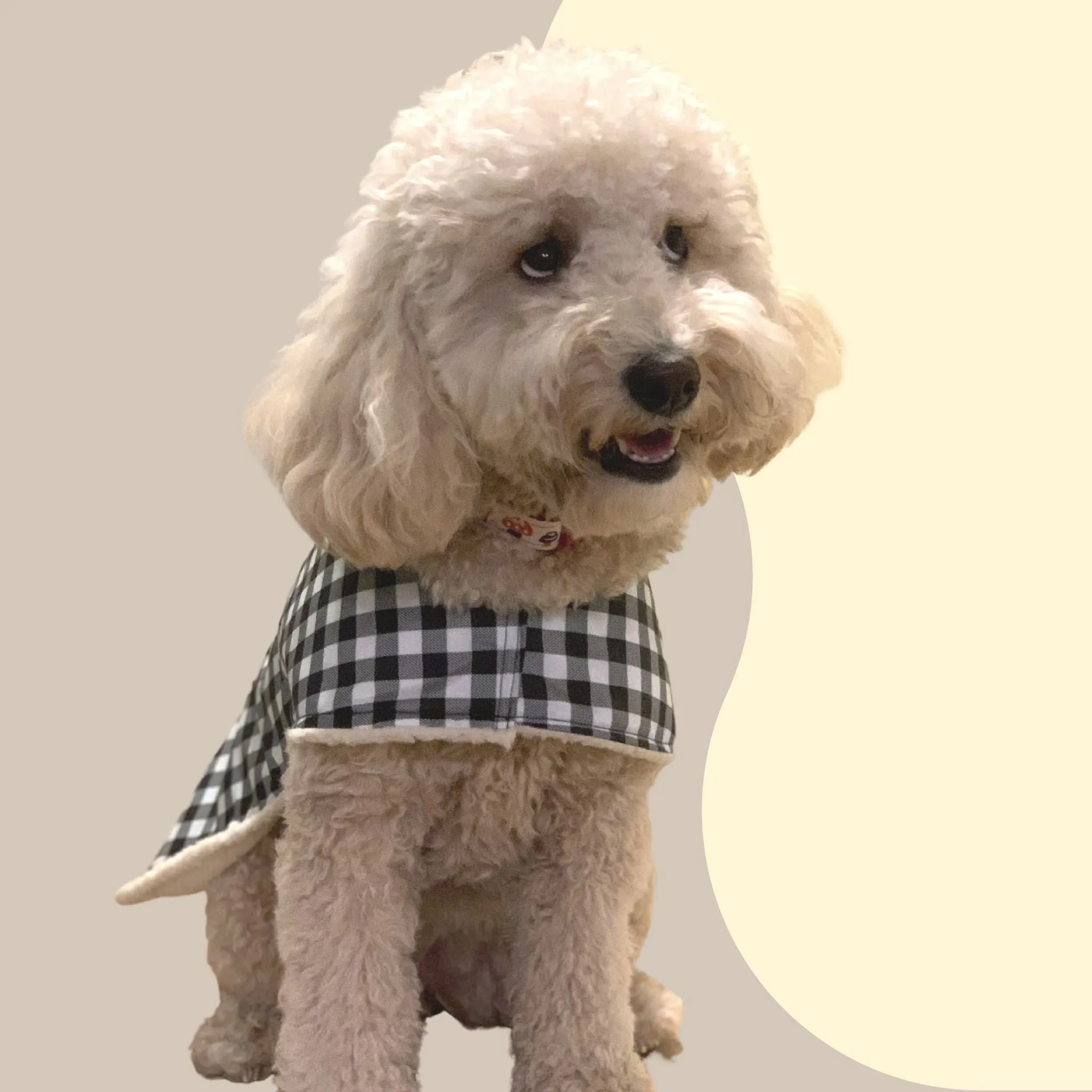 Sherpa Lined Windbreaker Dog Coat - Gingham Check